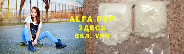 стафф Алзамай