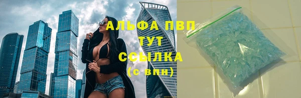 стафф Алзамай