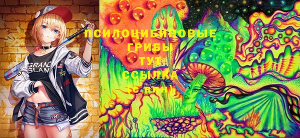 гашик Абдулино