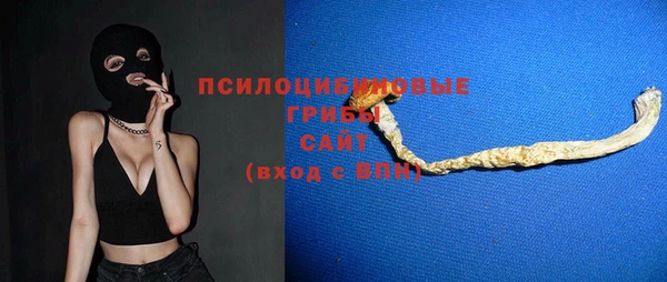 молекула духа Алексеевка