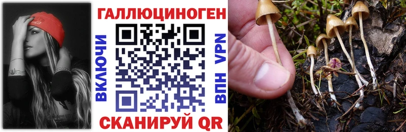 Псилоцибиновые грибы мухоморы  kraken вход  Пойковский 